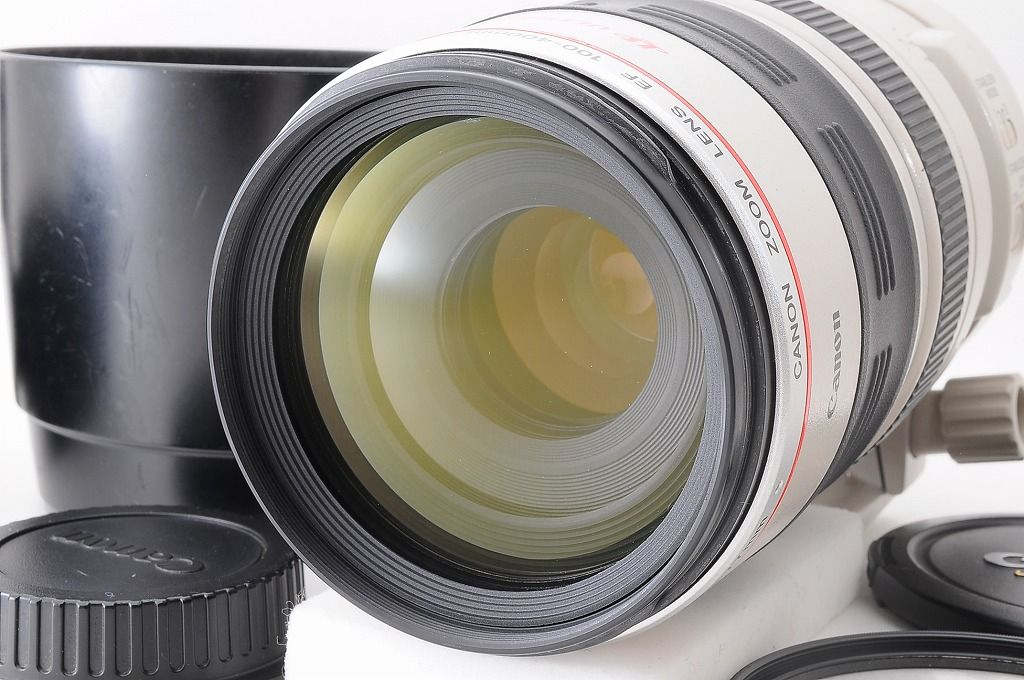 Canon EF 100-400mm f4.5-5.6L IS USM