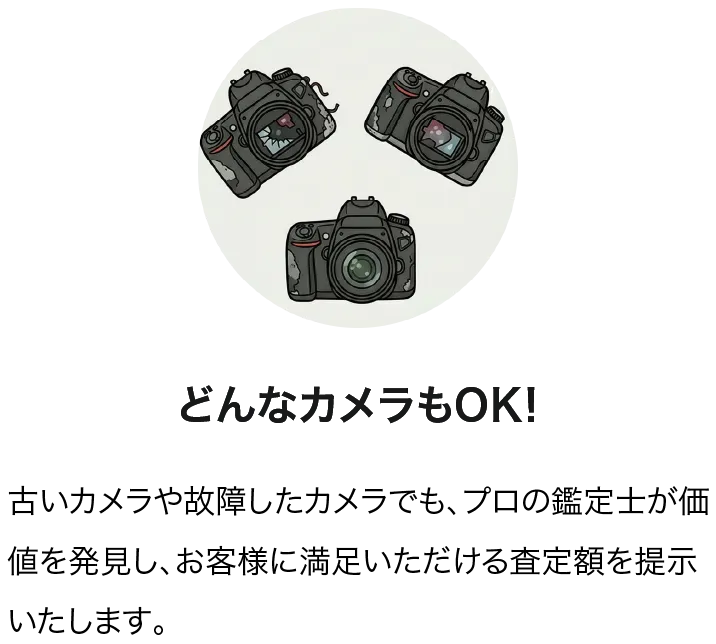 どんなカメラもOK