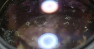 レンズ内部のカビ発生状態のクローズアップ|中古カメラレンズ査定イメージ